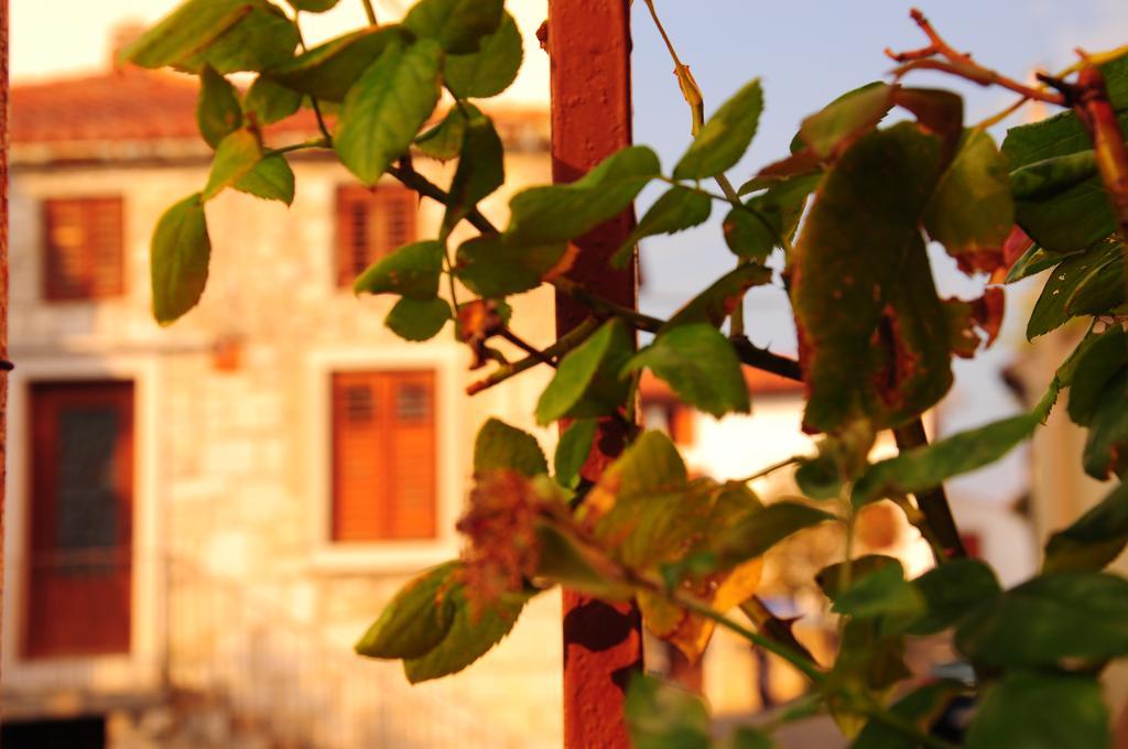 Nebojsega B&B Santa Croce Mare Εξωτερικό φωτογραφία